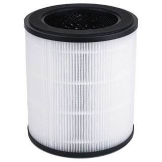 Filtr pro Rowenta Pure Air City PU2840, XD6280F0